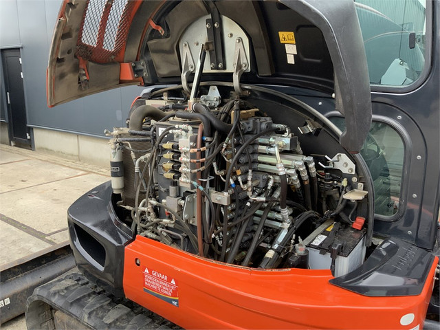 57594446-13.jpg
